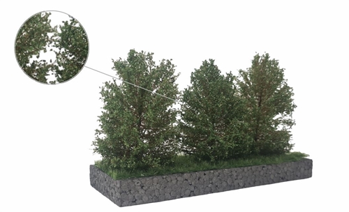 mbr 50-4013 Høje buske, mørk grønne, 7-11 cm, 3 stk